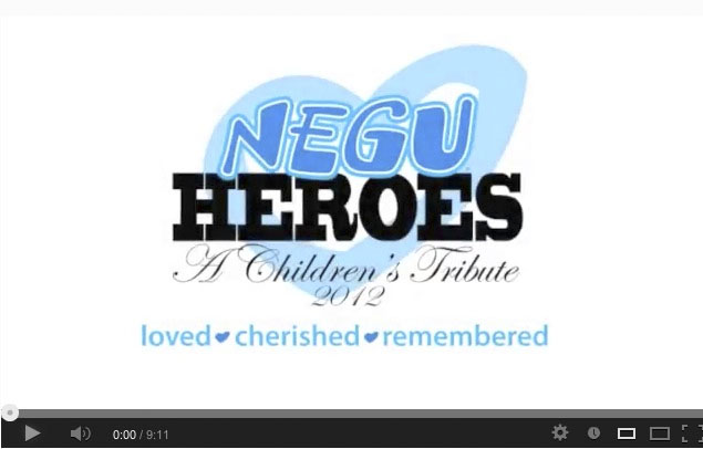 HeroVideo
