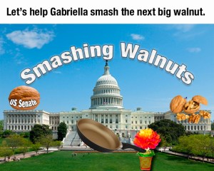 SmashWalnutSenate
