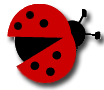ladybug_edited-1