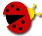 ladybug_edited-2