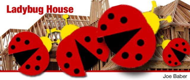 LadybugHouse_edited-3