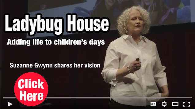 LadybugUtube_edited-1