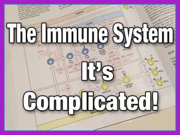 immunesys_edited-1