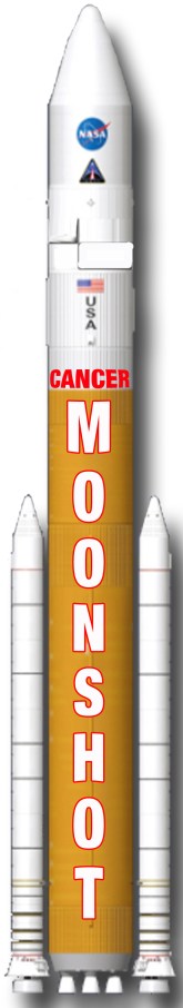 MoonshotROCKET_edited-1