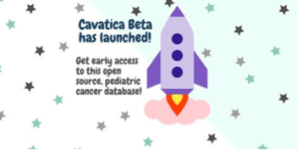 Lauriecavaticalaunch